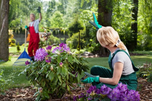 Professional garden clearance services in Plaistow displaying before and after garden spaces