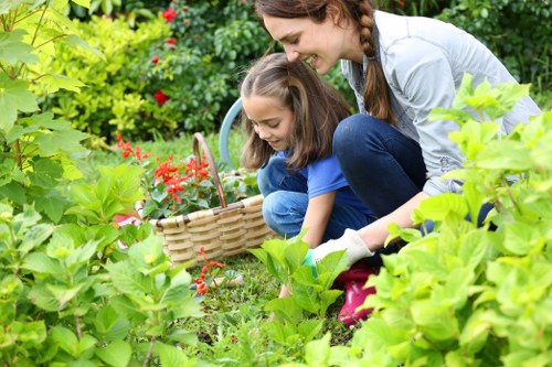 Seasonal garden maintenance in Plaistow