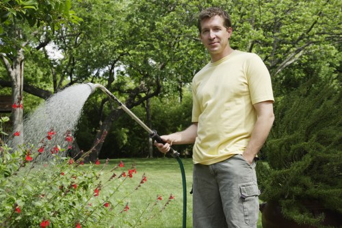 Safe tree removal process by experts