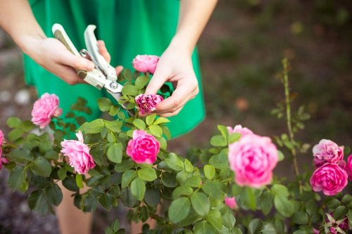 Professional landscape gardening services in Plaistow