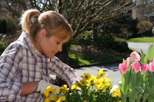 Eco-friendly garden clearance practices with recycling and composting