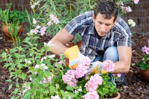 Garden workers performing comprehensive clearance and debris removal